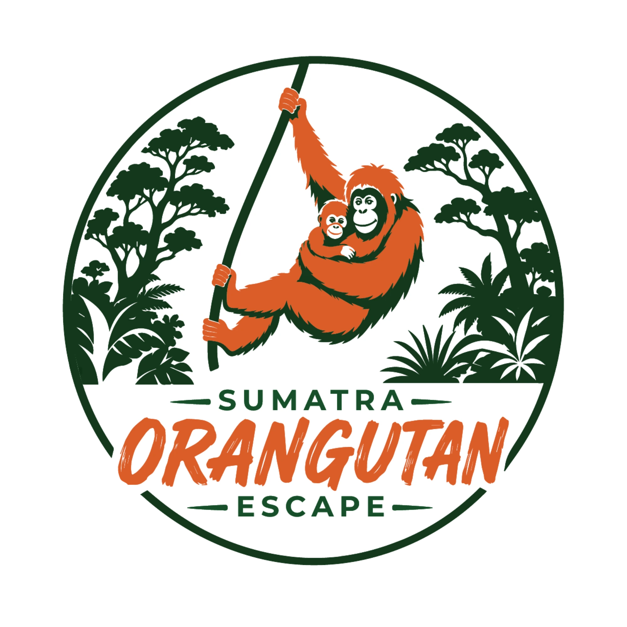 Sumatra Orangutan Escape